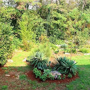 Apartment Jelena, Poreč